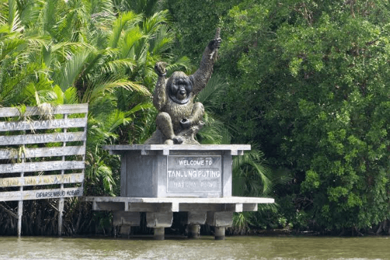 Taman Nasional Tanjung Puting